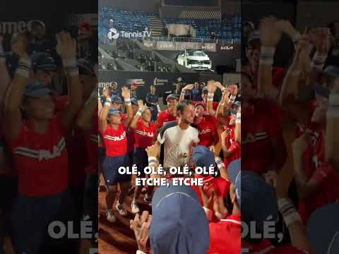 Wild Celebrations 🥳