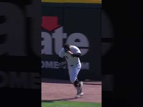 Mike Tauchman robs Giancarlo Stanton of a home run with a sensational catch! 😱