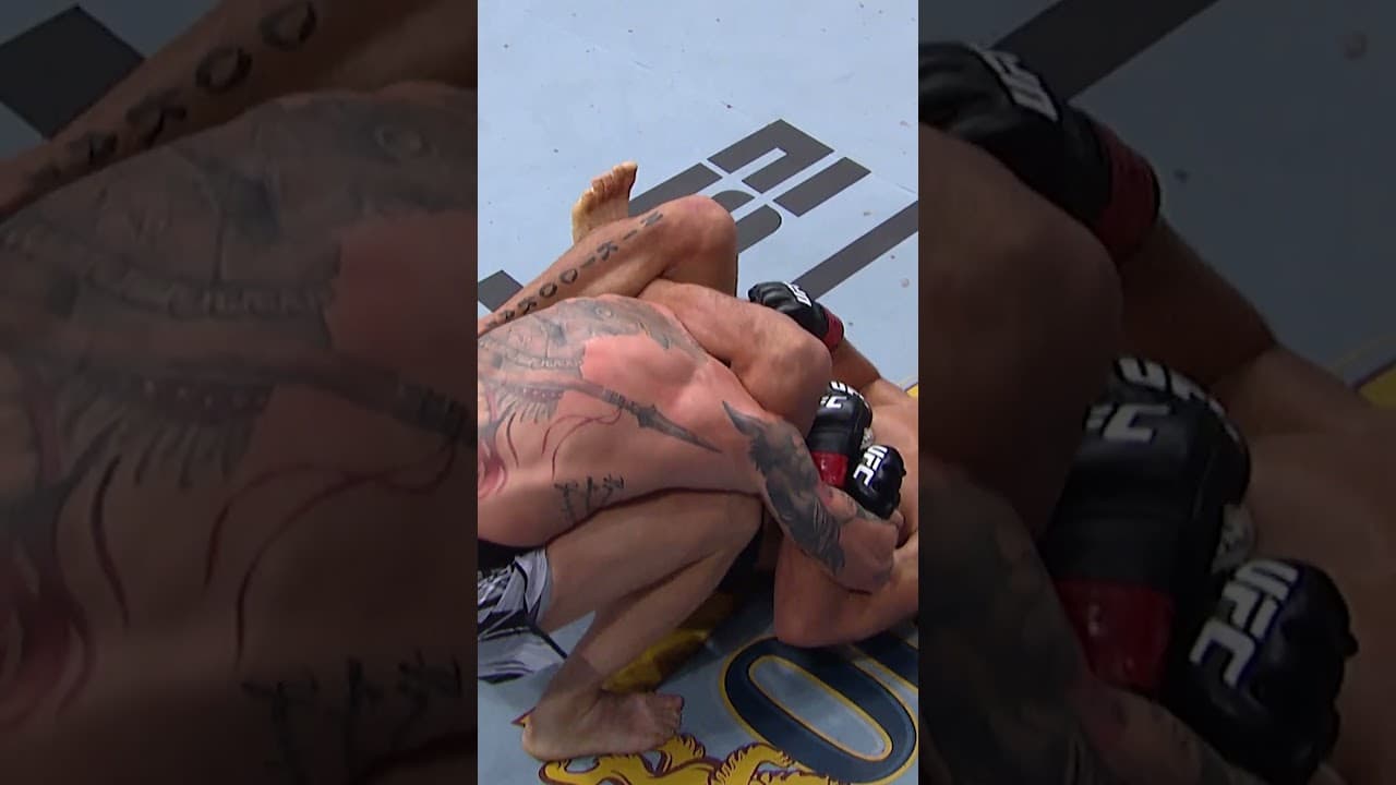 What a way to finish him! #ufcwinnipeg