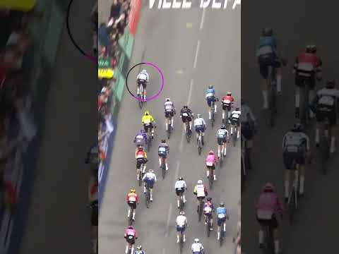 Happy Birthday to Tim Merlier! 🎉