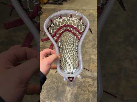 Ion Beta for a 5⭐️ Princeton Commit