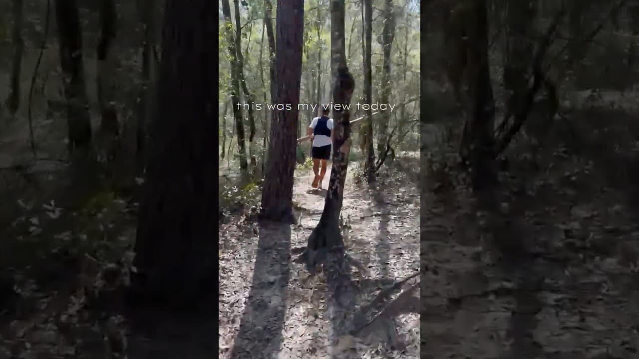 How was your View today #ultrarunning #runner