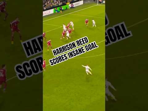 “PICK THAT OUT” - Fulham commentators lose it at Reed’s worldie. 🚀