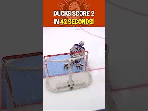 Quack attack is BACK, JACK! 🦆🦆🦆