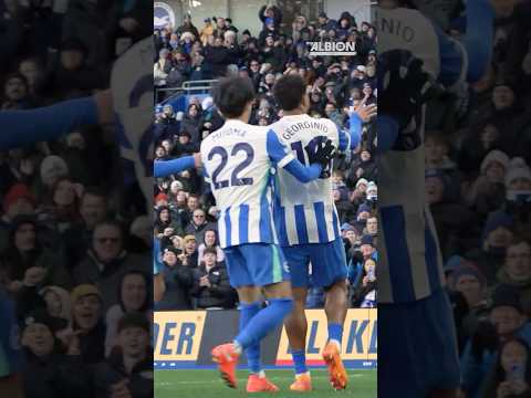 🇫🇷 Georginio x Stranger Things ⚡️🩸