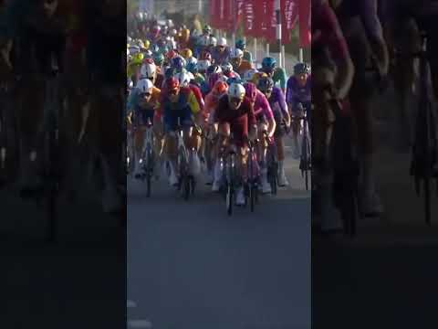 Milan makes it look easy 🤩🔥 Jonathan Milan does his thing in the sprint at the UAE Tour💨