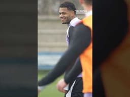 Focused On Forest! 🌳