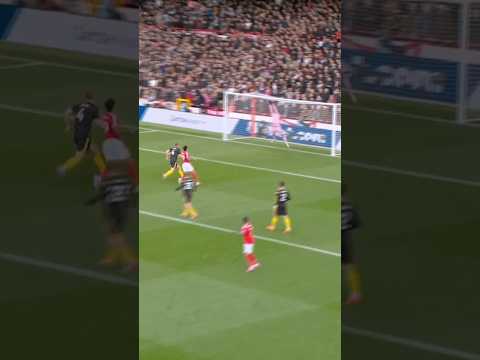 Some Seriously Good Senne Stops 😮‍💨