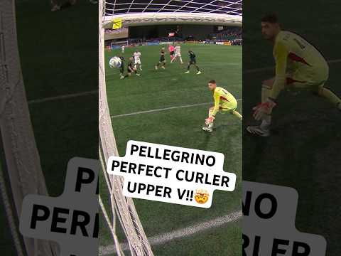 Pellegrino PLACED IT PERFECT!!🎯