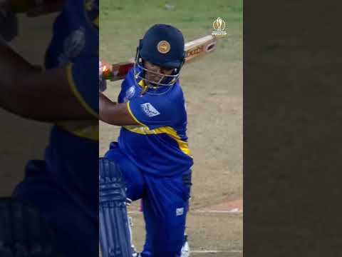 Pacers made the most of helpful conditions to deliver a Thumsup All Thunder worthy performance