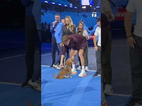 Seeing this side of Jannik Sinner 🥹 #tennis #janniksinner #tennistournament