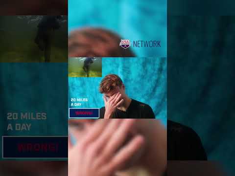 How Many Miles Can an Elephant Swim in a Day?