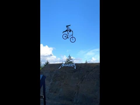 When Your Buddy screams 'DO IT!!!' 👊