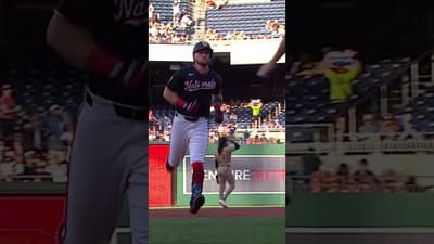 A 1st-Inning Two-Run Blast From Curtis Mead