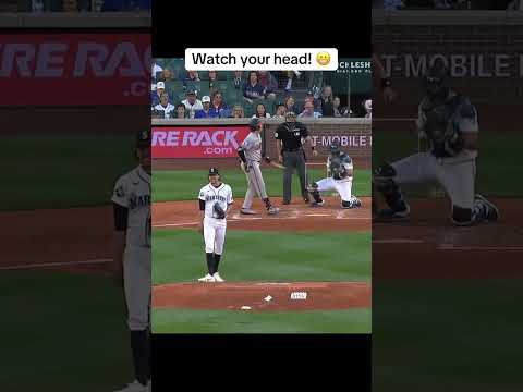 Even the batter was confused 🤣