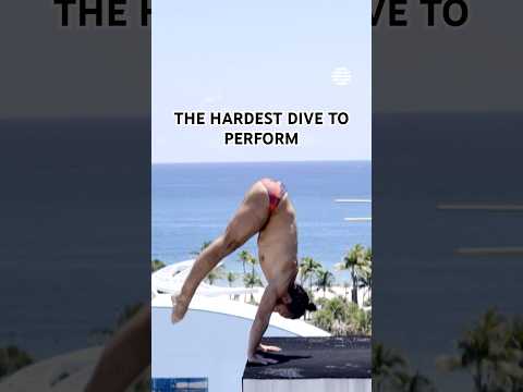The Gold Medal Dive