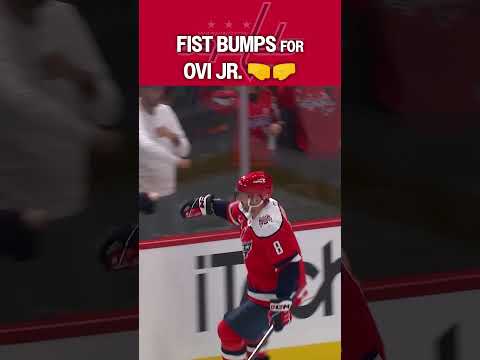 One day, this will all be yours 🦁