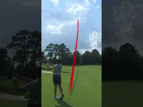 Sean Walsh 'almost dunked it' ⛹️🔥