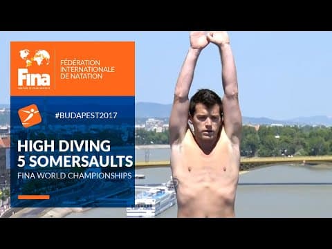 Steve Lobue's Gold with 5 Somersaults | Budapest 2017 | FINA World Championships
