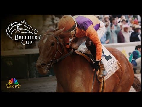 Betting the 2025 Breeders' Cup: Sprint | NBC Sports