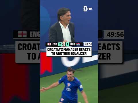 Croatia's manager going through all the emotions in the first half