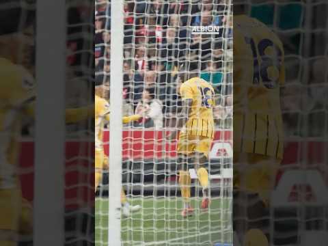 Buzzing With The Win 🐝💪