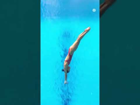 Lin Shan and Yang Jian Are The Champions In the Mixed Diving Competition #diver #diving #LinShan