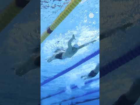 Ponti x Grousset from the underwater cam 🎥 #Swimming #WorldAquatics #Butterfly #Underwater