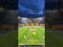 This tifo is crazy! 🖤💛