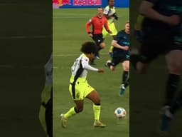 BRANDT‘S VISION! 🔭