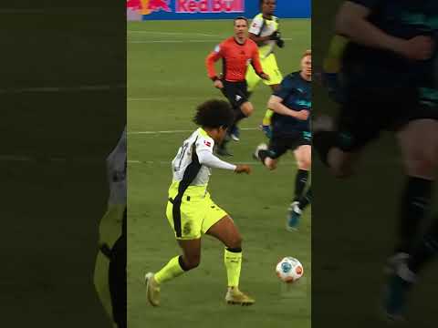 BRANDT‘S VISION! 🔭