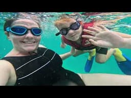 Snorkelling Tangalooma Wrecks with Family | Moreton Island Adventure 