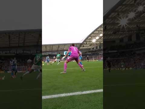 NET CAM | Welbeck's Newcastle Brace  #premierleague  #brightonandhovealbion #dannywelbeck