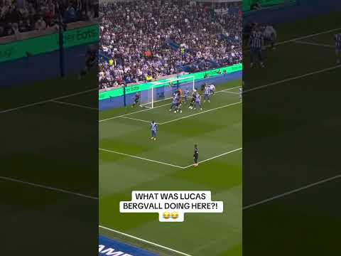 Nice try, Lucas Bergvall 😅