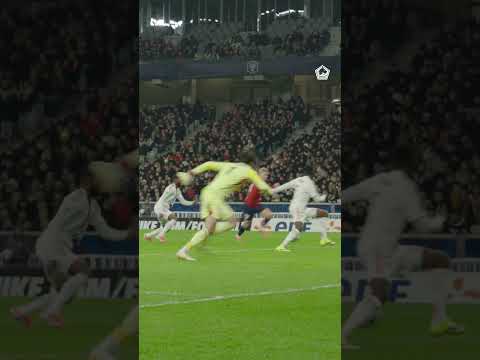 𝗡𝗮𝘁𝗵𝗮𝗻 𝗡𝗴𝗼𝘆 𝗲𝗻 𝗿𝗲𝗻𝗮𝗿𝗱 𝗱𝗲𝘀 𝘀𝘂𝗿𝗳𝗮𝗰𝗲𝘀 🦊