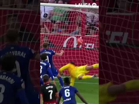 Una 𝑺𝑼𝑷𝑬𝑹𝑬𝑺𝑻𝑹𝑬𝑳𝑳𝑨 ✨