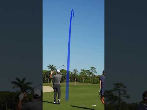 New Years Resolution: Knock down more flagsticks like Scottie Scheffler and Nelly Korda.