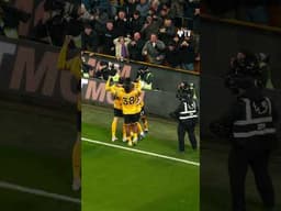 Rodrigo Gomes' BEAUTIFUL finish vs Liverpool!