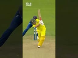 💥 Stumps FLATTENED