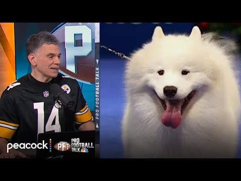 Mike Florio, Chris Simms get excited for 2025 National Dog Show | Pro Football Talk | NFL on NBC