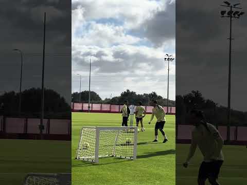 Se lo pasan bien 🤣