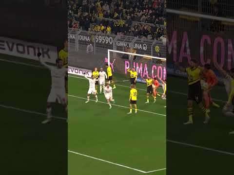 Nights in Dortmund! 💥 Wir präsentieren: Sepp van den Berg 🫶✨