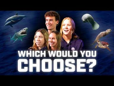 Blind Ranking Ocean Animals as Relay Teammates