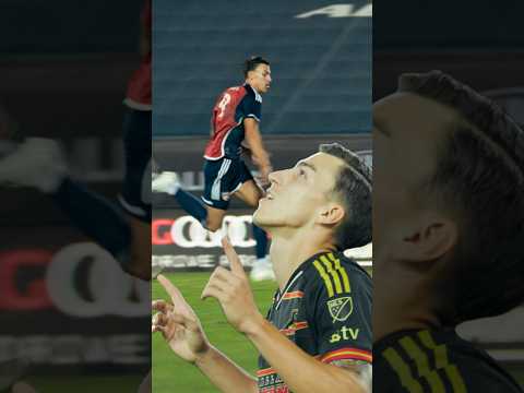 It’s International Moose Day! 🫎