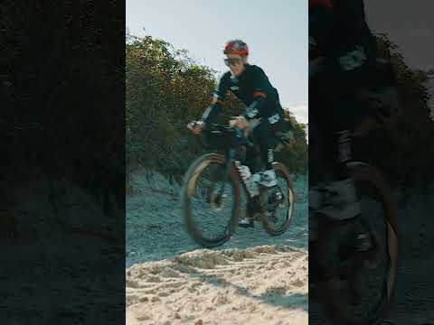 Can Ollie Handle Denmark's Beaches? 🏝️