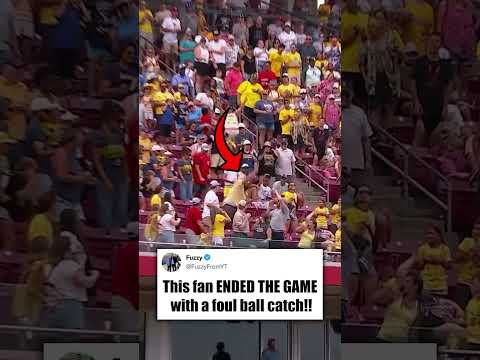 the FAN ended the game?! 🤯