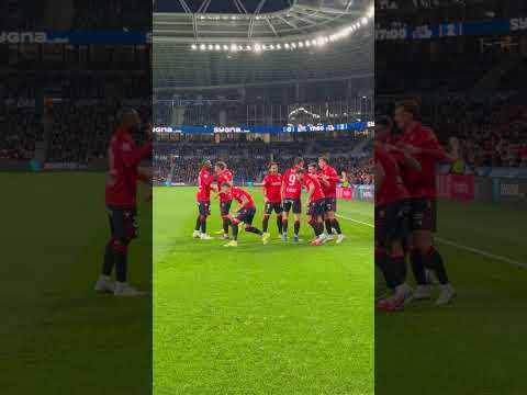 ¡Vamos, rojos! #osasuna #football