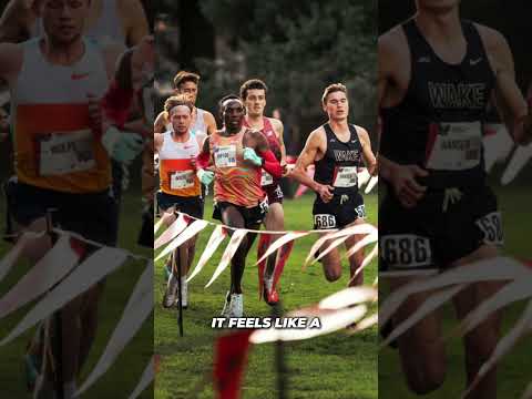 The average age of the Team USA men's senior team is 23.6 at World XC.