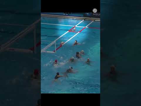 How Water Polo Works: Rules, Gameplay & Tips Explained #WaterPolo