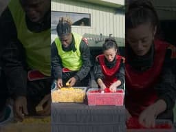 YouTubers vs LEGO Tower